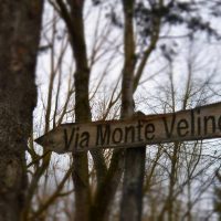 12801432_1181002708591642_1341115214221466693_n