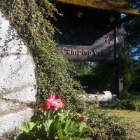 13256114_1248670111824901_4087278191805992332_n