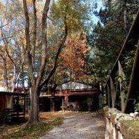 12063565_1016984328351745_3260468919206292874_n