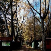 12191417_1016984295018415_46813596497254960_n