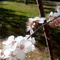 12321274_1210801182278461_5812933551557923030_n