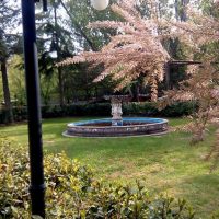 13178513_1237365276288718_8148983188804687716_n