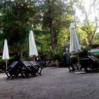 13507213_1272751499416762_4936274774794464974_n