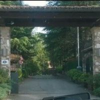 13612289_1336966419652445_643856831667799462_n