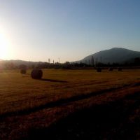 13631510_1294436140581631_1053909973944777878_n