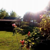 13669757_1339789492703471_8368415342844668633_n