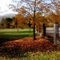 14731346_1406478886044022_6063834896486453443_n