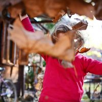 14917240_1417527534939157_7449526147836043698_o