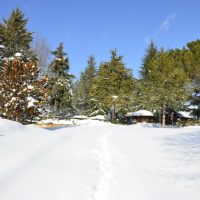 395454_381115465237550_1091309679_n