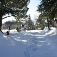 423978_381114045237692_1746574744_n