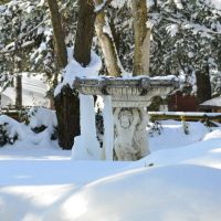 431357_381116958570734_1336829181_n