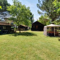 20200713_113652_resized