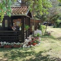 20200713_113806_resized