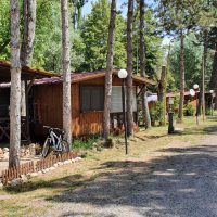 20200713_114043_resized