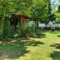 20200713_114229_resized