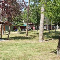 20200713_114314_resized