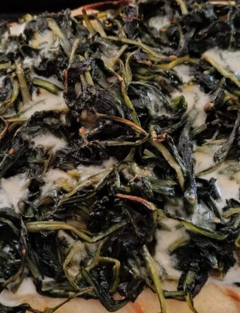 pinsa-con-la-cicoria-ricetta