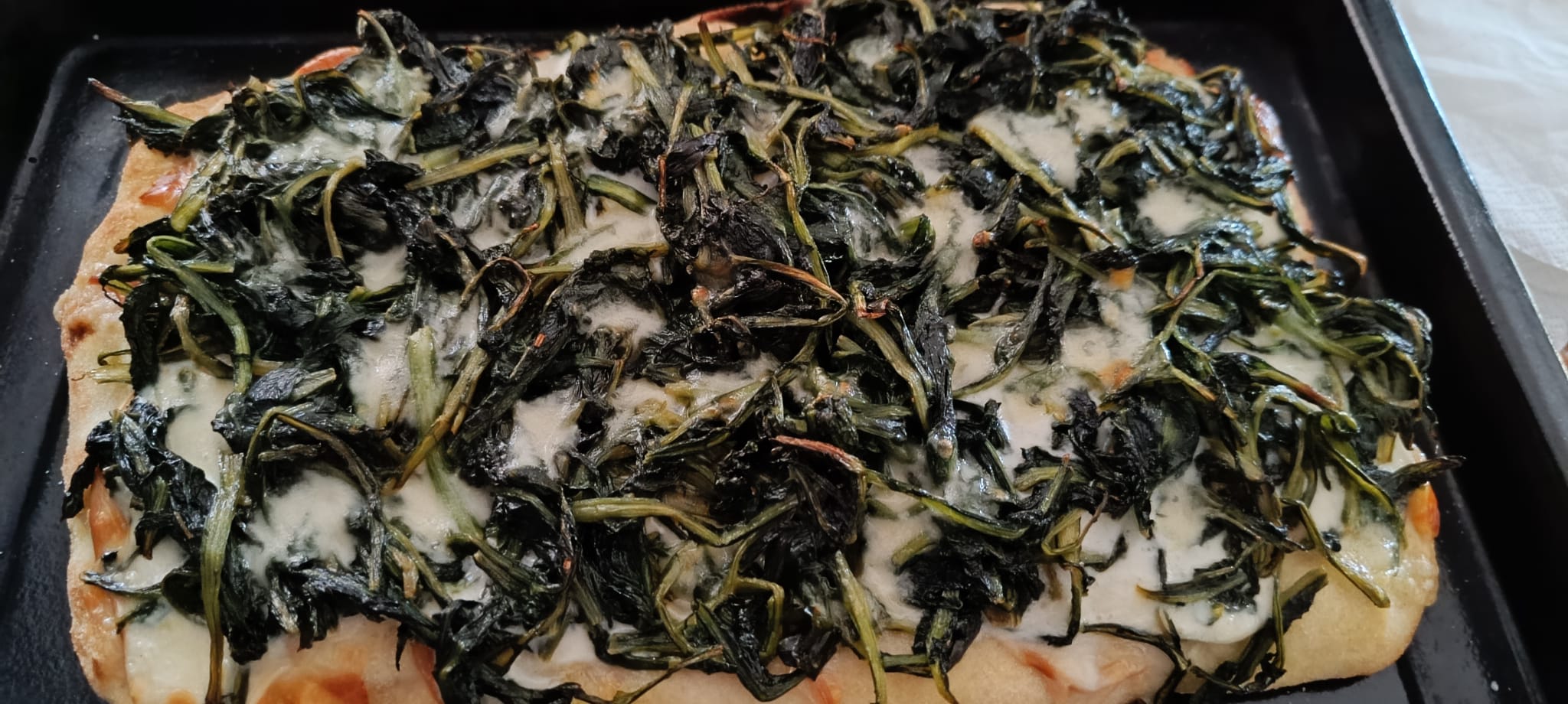 pinsa-con-la-cicoria-ricetta